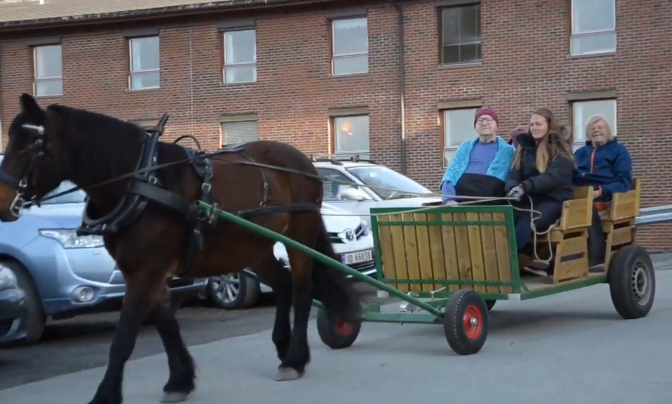 Trykk her for å se aktiviteten