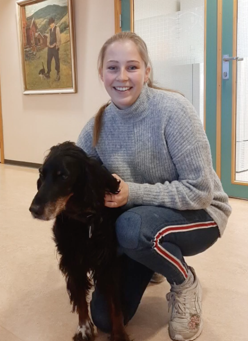 Trykk her for å se aktiviteten