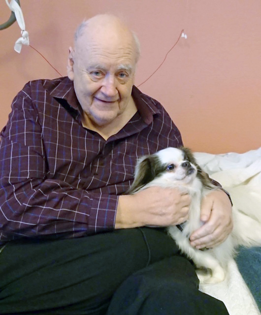 Trykk her for å se aktiviteten