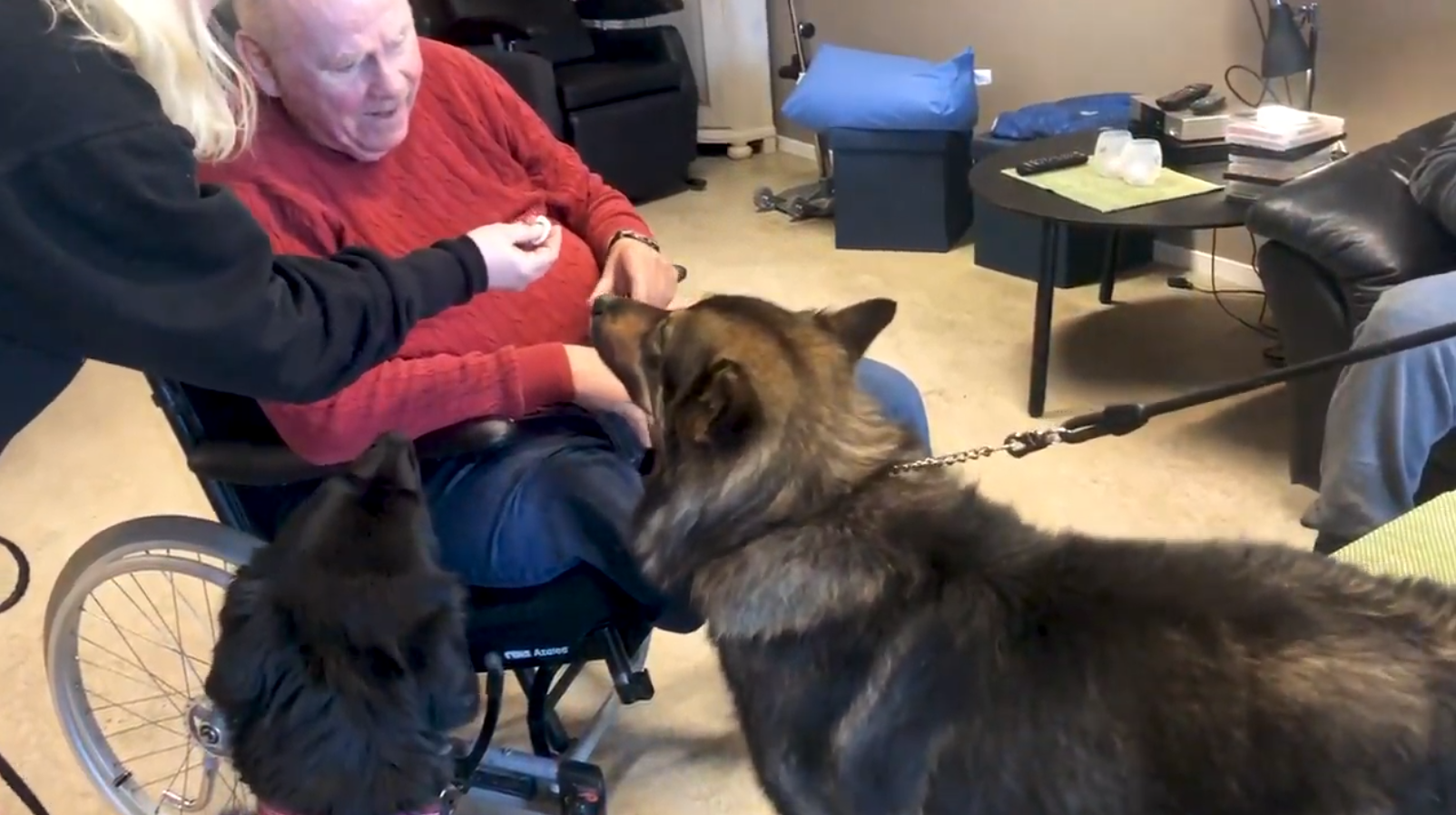 Trykk her for å se aktiviteten