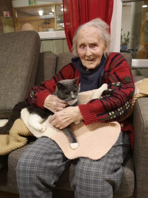 Trykk her for å se aktiviteten