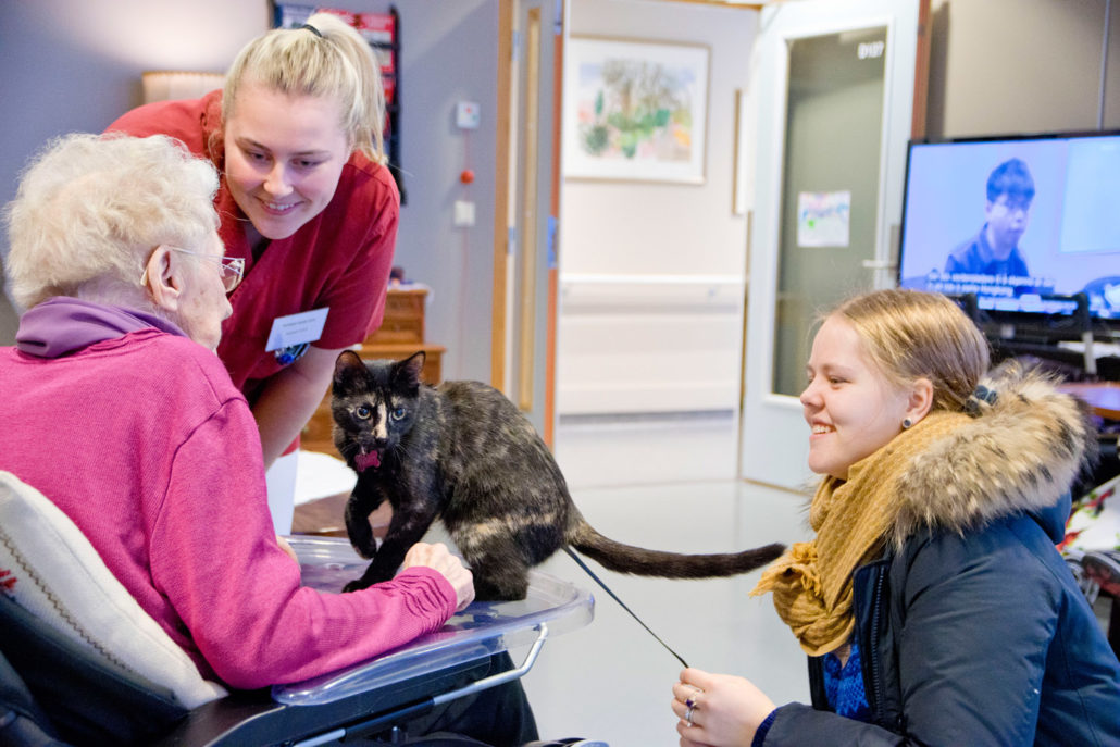 Trykk her for å se aktiviteten