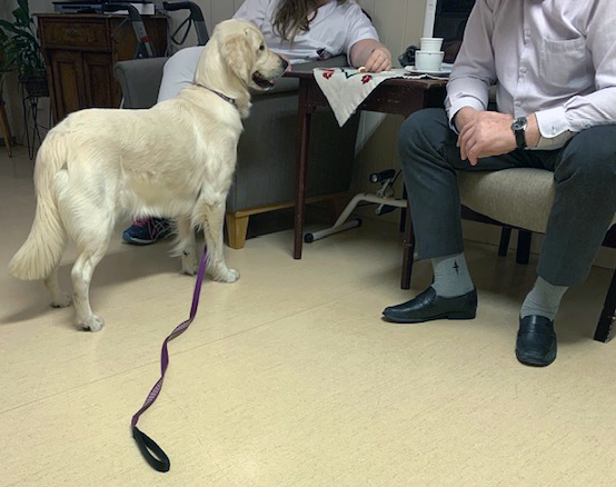 Trykk her for å se aktiviteten