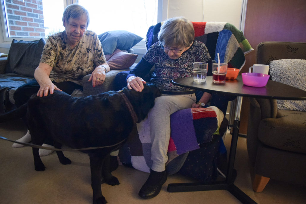 Trykk her for å se aktiviteten