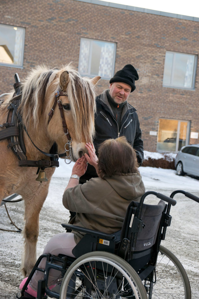 Trykk her for å se aktiviteten