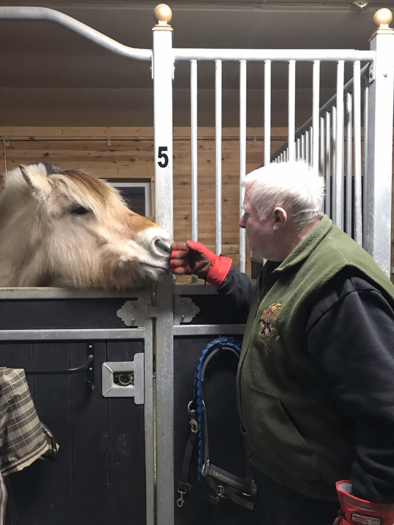 Trykk her for å se aktiviteten