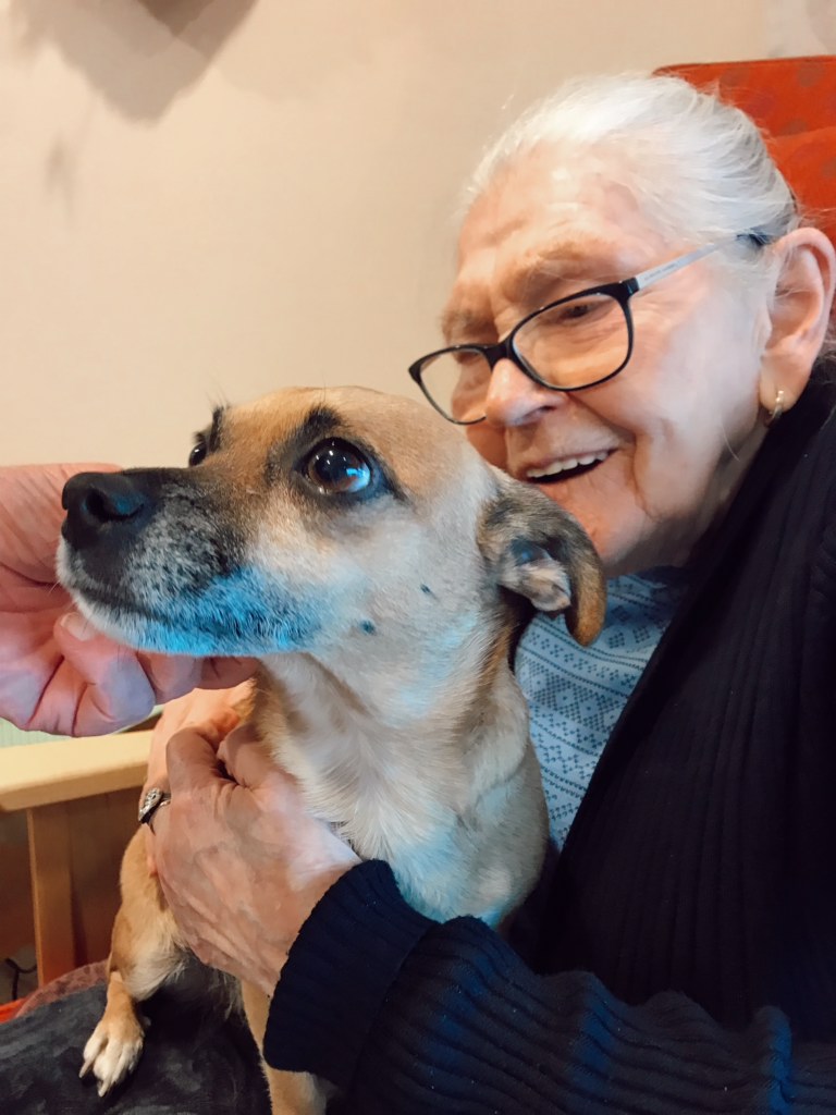 Trykk her for å se aktiviteten