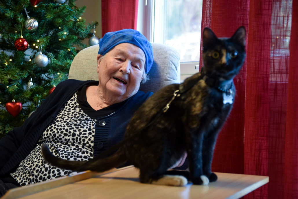 Trykk her for å se aktiviteten