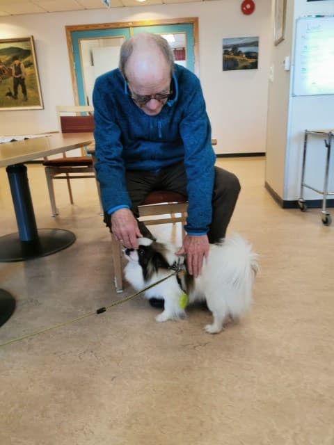 Trykk her for å se aktiviteten