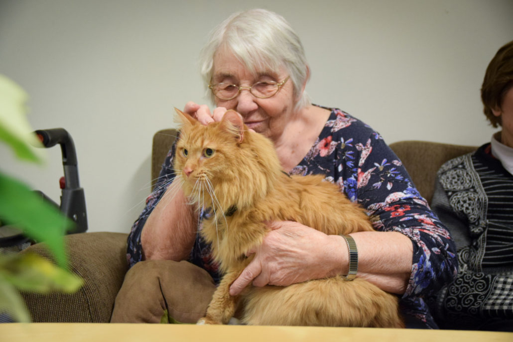 Trykk her for å se aktiviteten