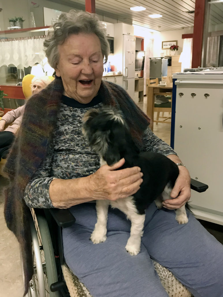 Trykk her for å se aktiviteten