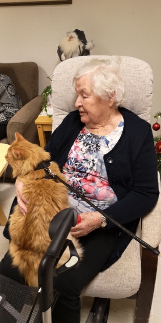 Trykk her for å se aktiviteten