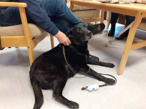 Trykk her for å se aktiviteten