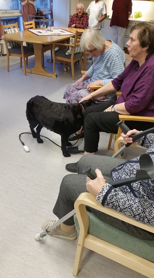 Trykk her for å se aktiviteten