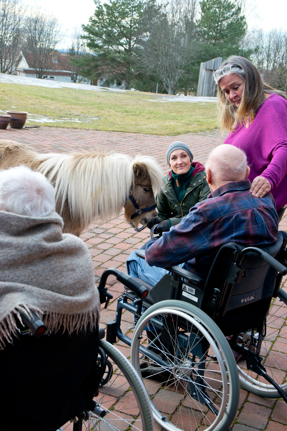 Trykk her for å se aktiviteten