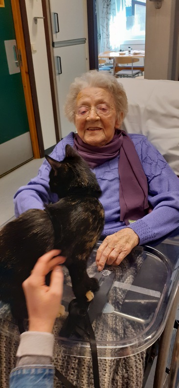 Trykk her for å se aktiviteten