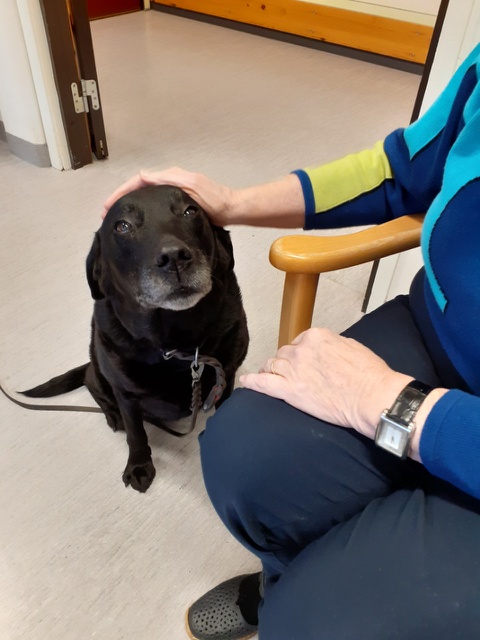 Trykk her for å se aktiviteten