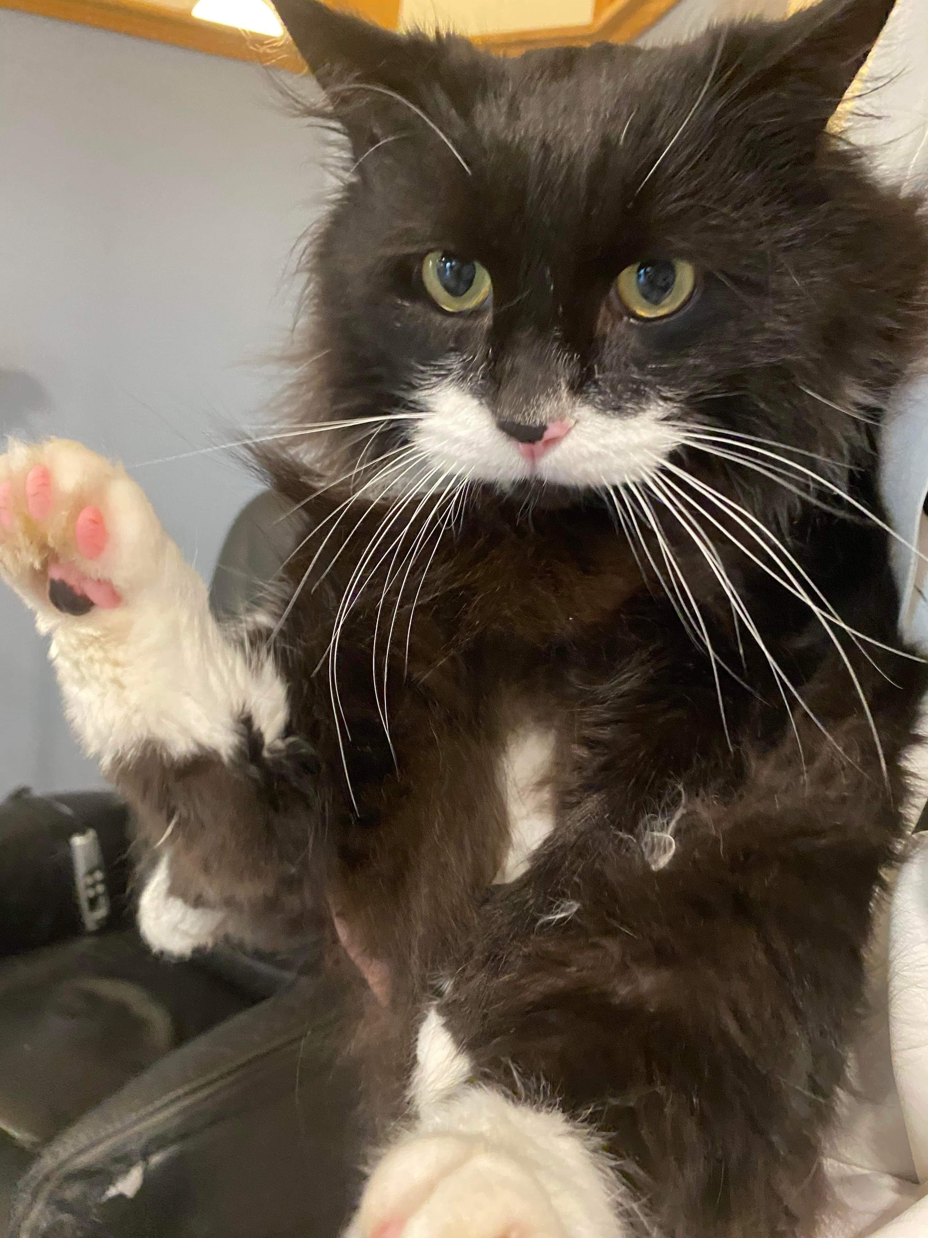 Trykk her for å se aktiviteten