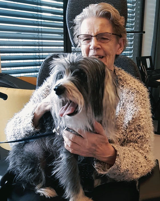 Trykk her for å se aktiviteten