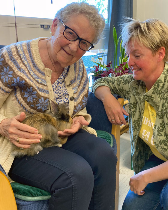 Trykk her for å se aktiviteten