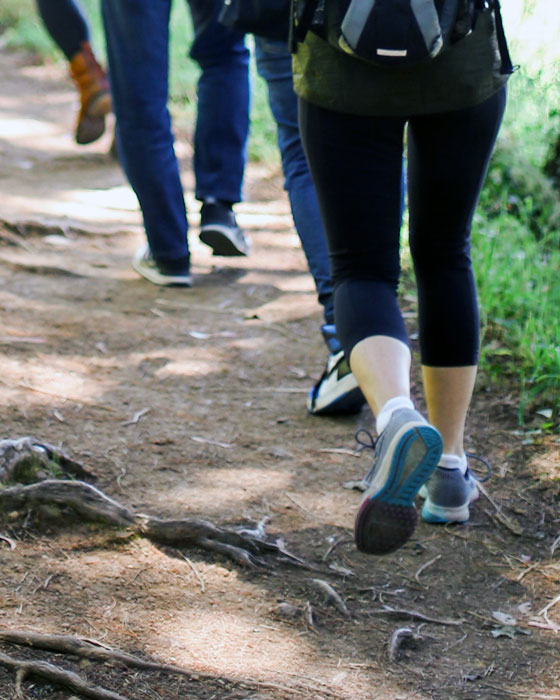 Trykk her for å se aktiviteten