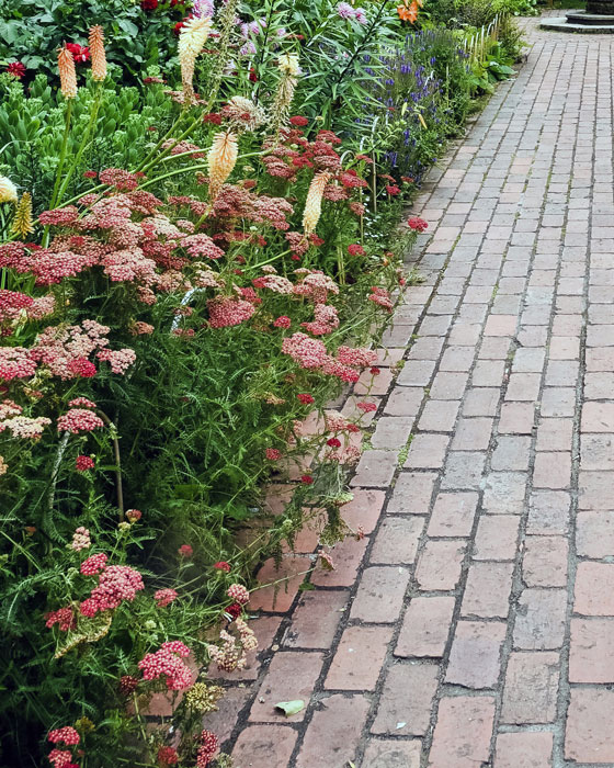 Trykk her for å se aktiviteten