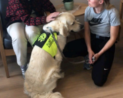 Trykk her for å se aktiviteten