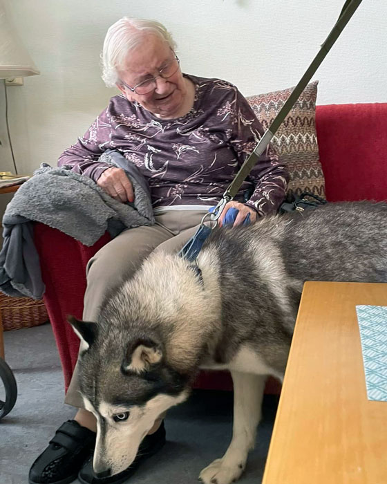 Trykk her for å se aktiviteten