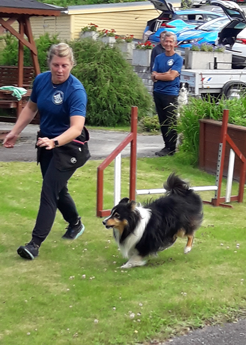 Trykk her for å se aktiviteten