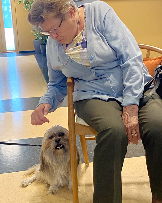 Trykk her for å se aktiviteten