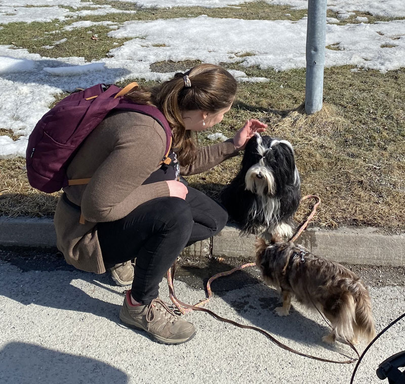 Trykk her for å se aktiviteten