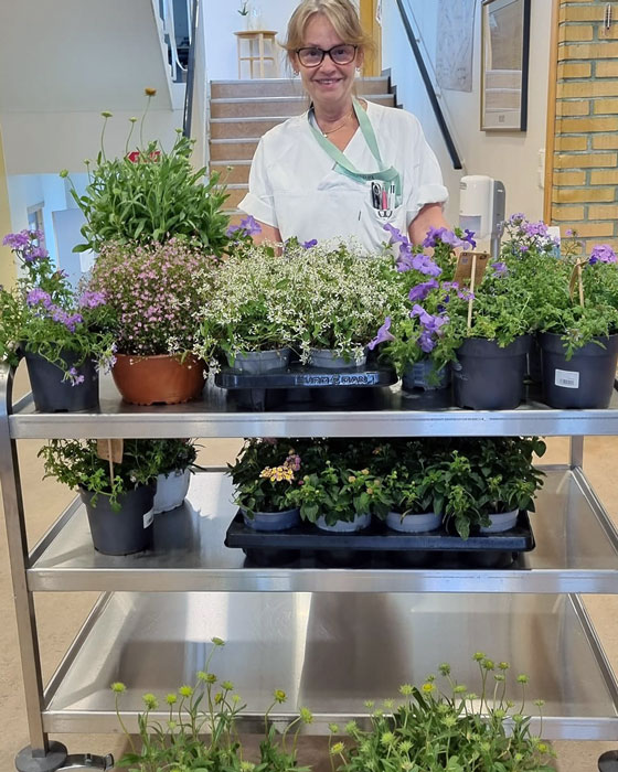 Trykk her for å se aktiviteten