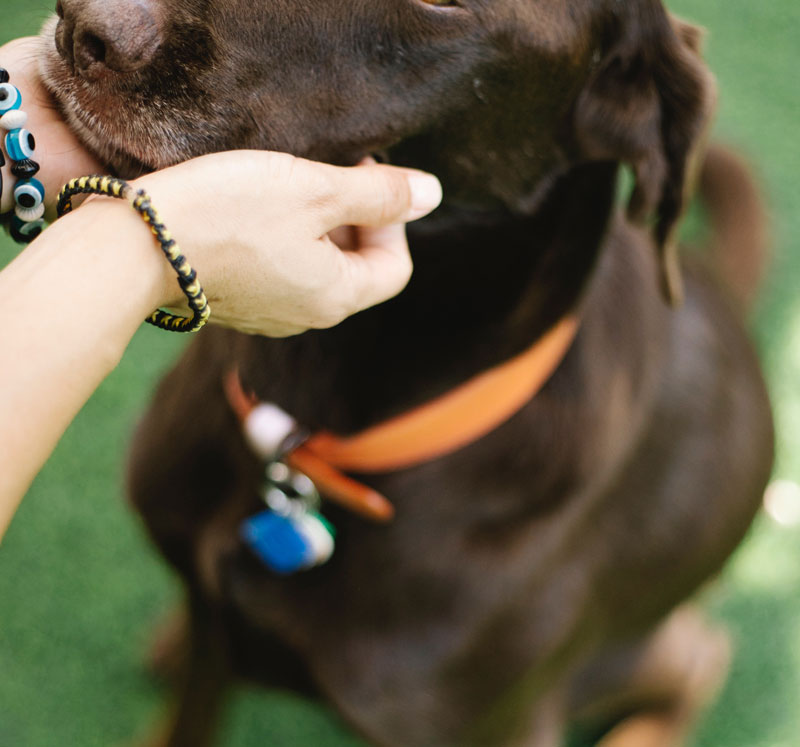 Trykk her for å se aktiviteten