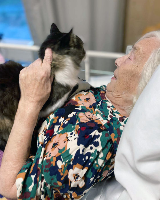 Trykk her for å se aktiviteten