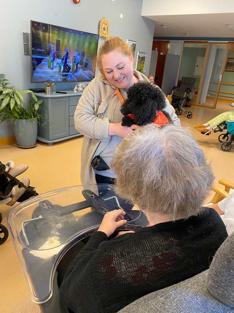 Trykk her for å se aktiviteten