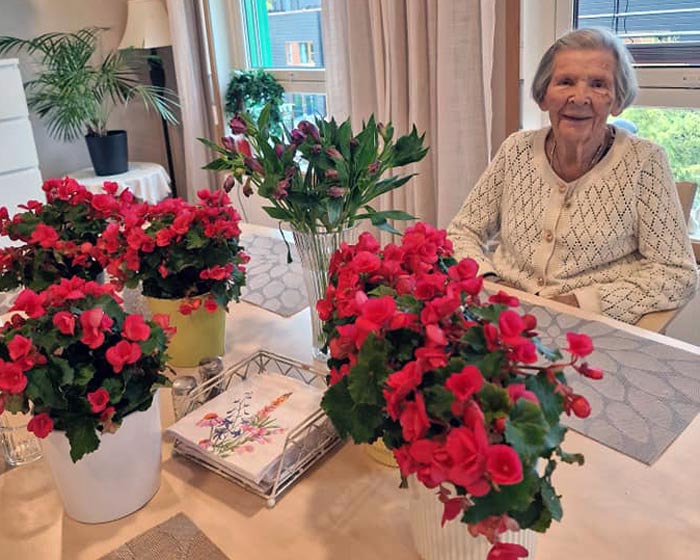 Trykk her for å se aktiviteten