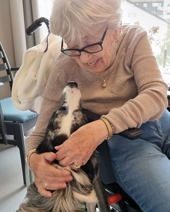 Trykk her for å se aktiviteten