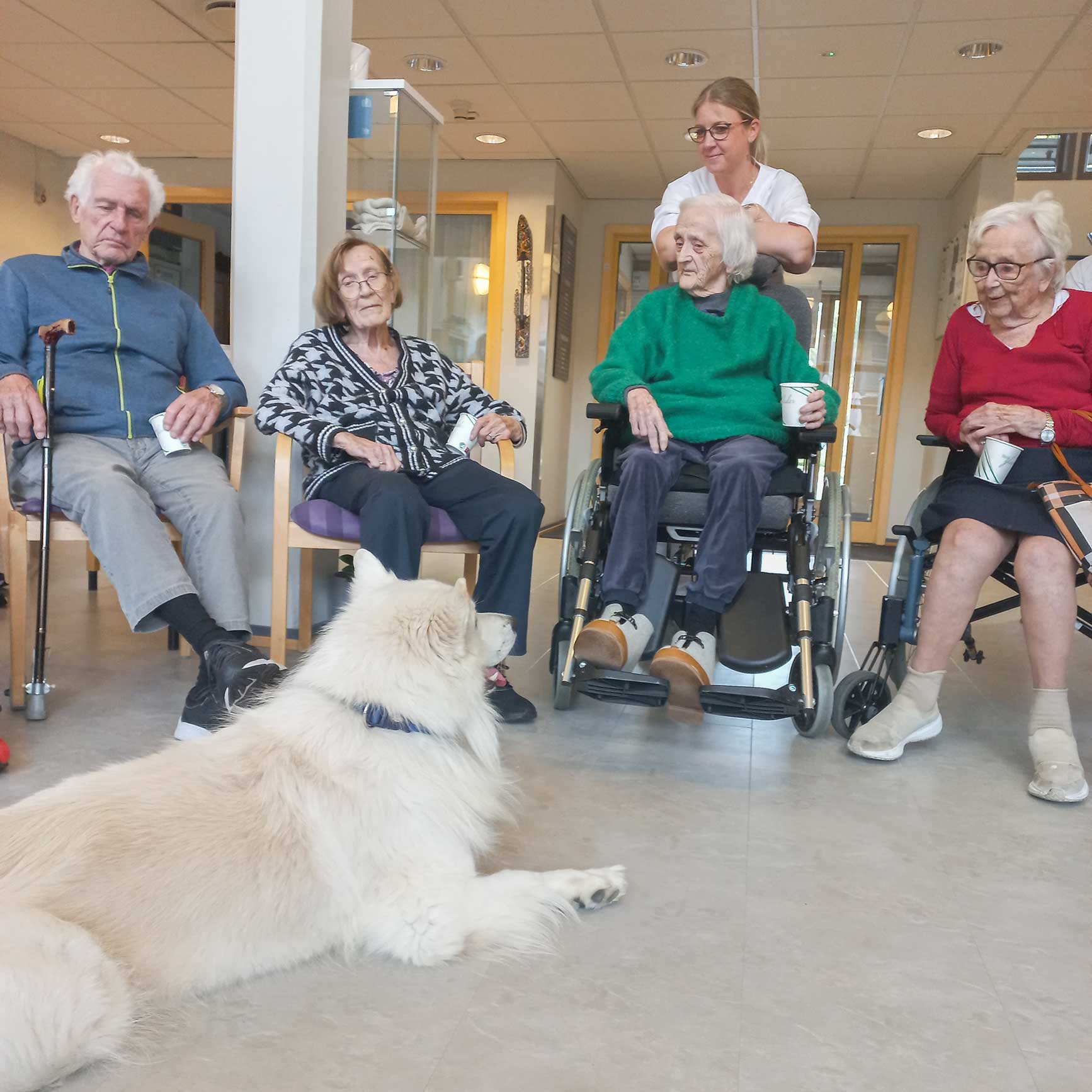 Trykk her for å se aktiviteten