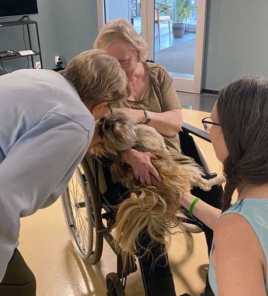 Trykk her for å se aktiviteten