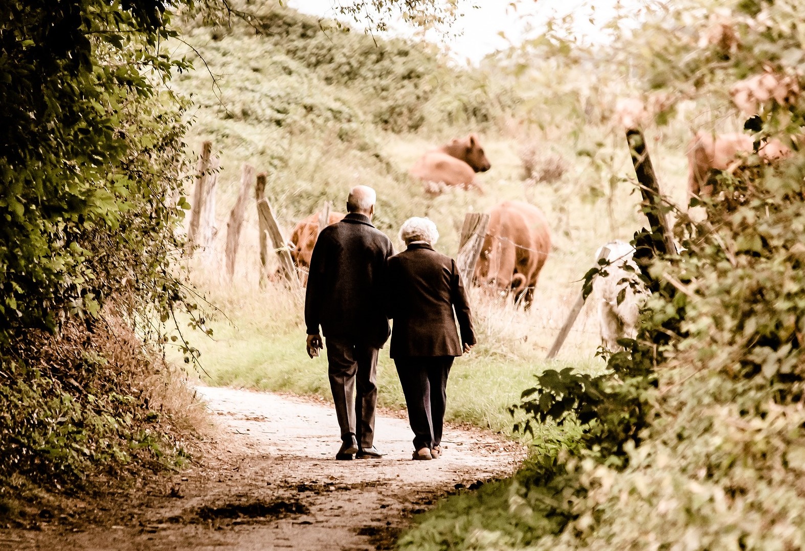 Trykk her for å se aktiviteten