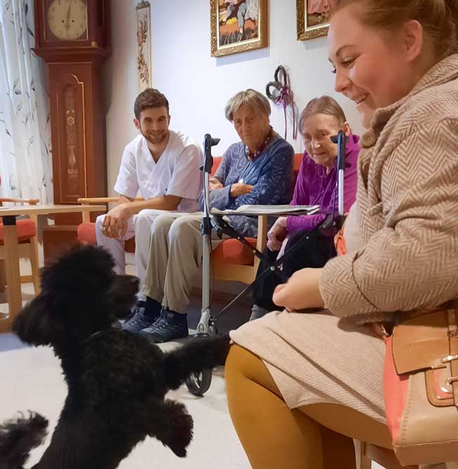 Trykk her for å se aktiviteten