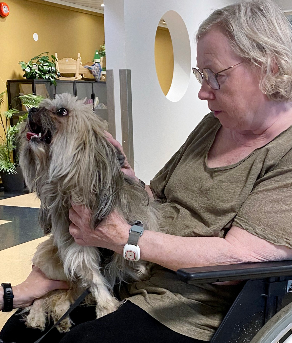 Trykk her for å se aktiviteten