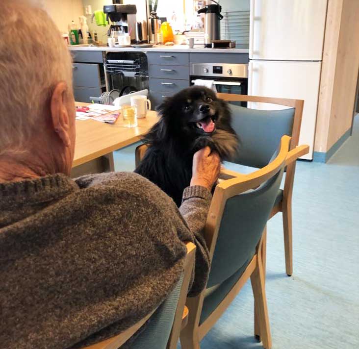 Trykk her for å se aktiviteten