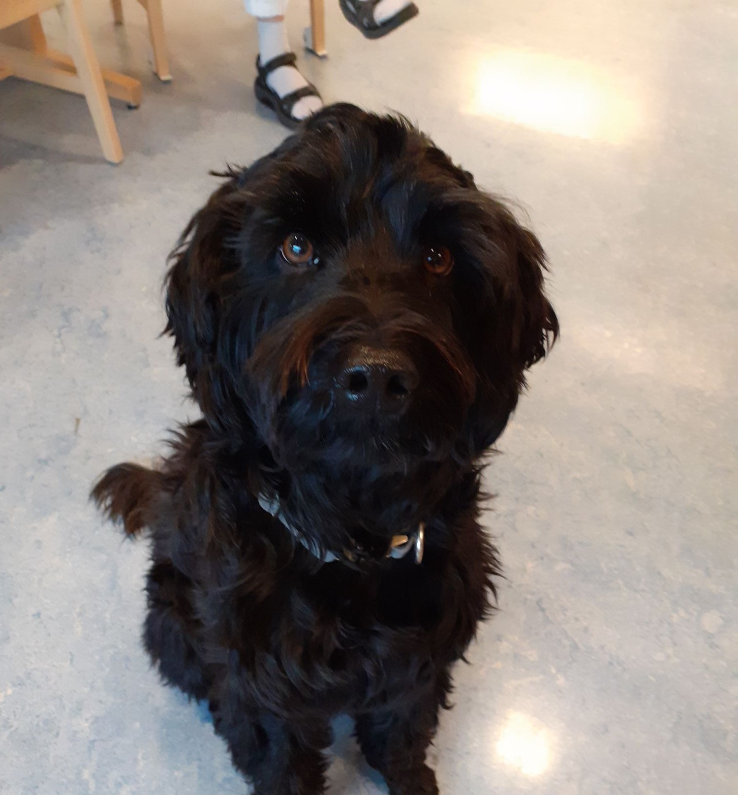 Trykk her for å se aktiviteten