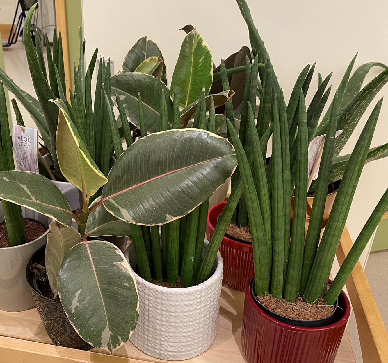 Trykk her for å se aktiviteten