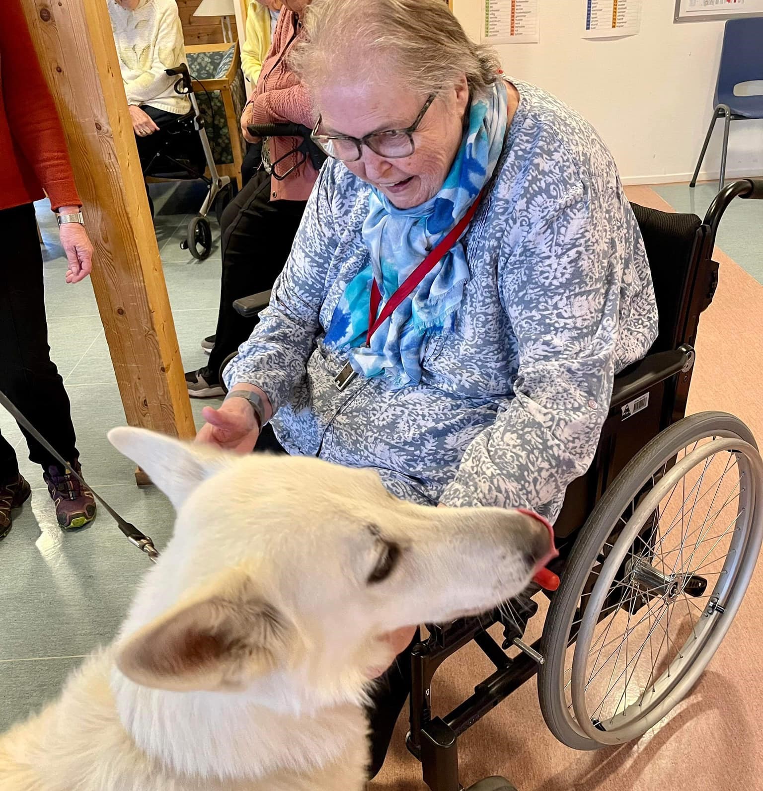 Trykk her for å se aktiviteten