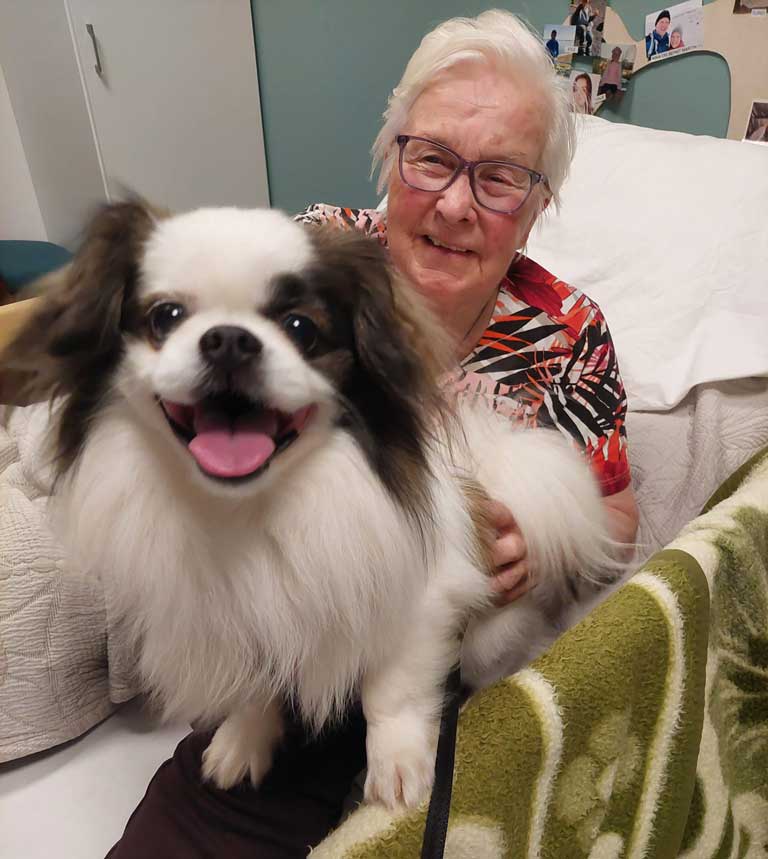 Trykk her for å se aktiviteten