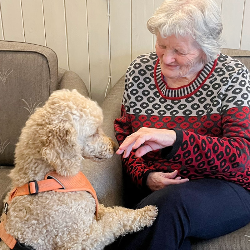 Trykk her for å se aktiviteten