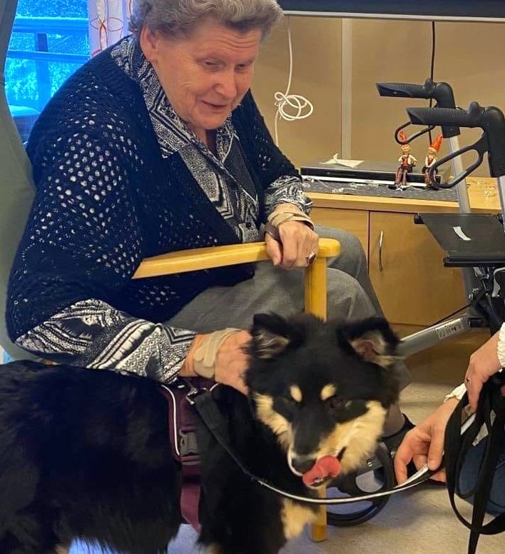 Trykk her for å se aktiviteten