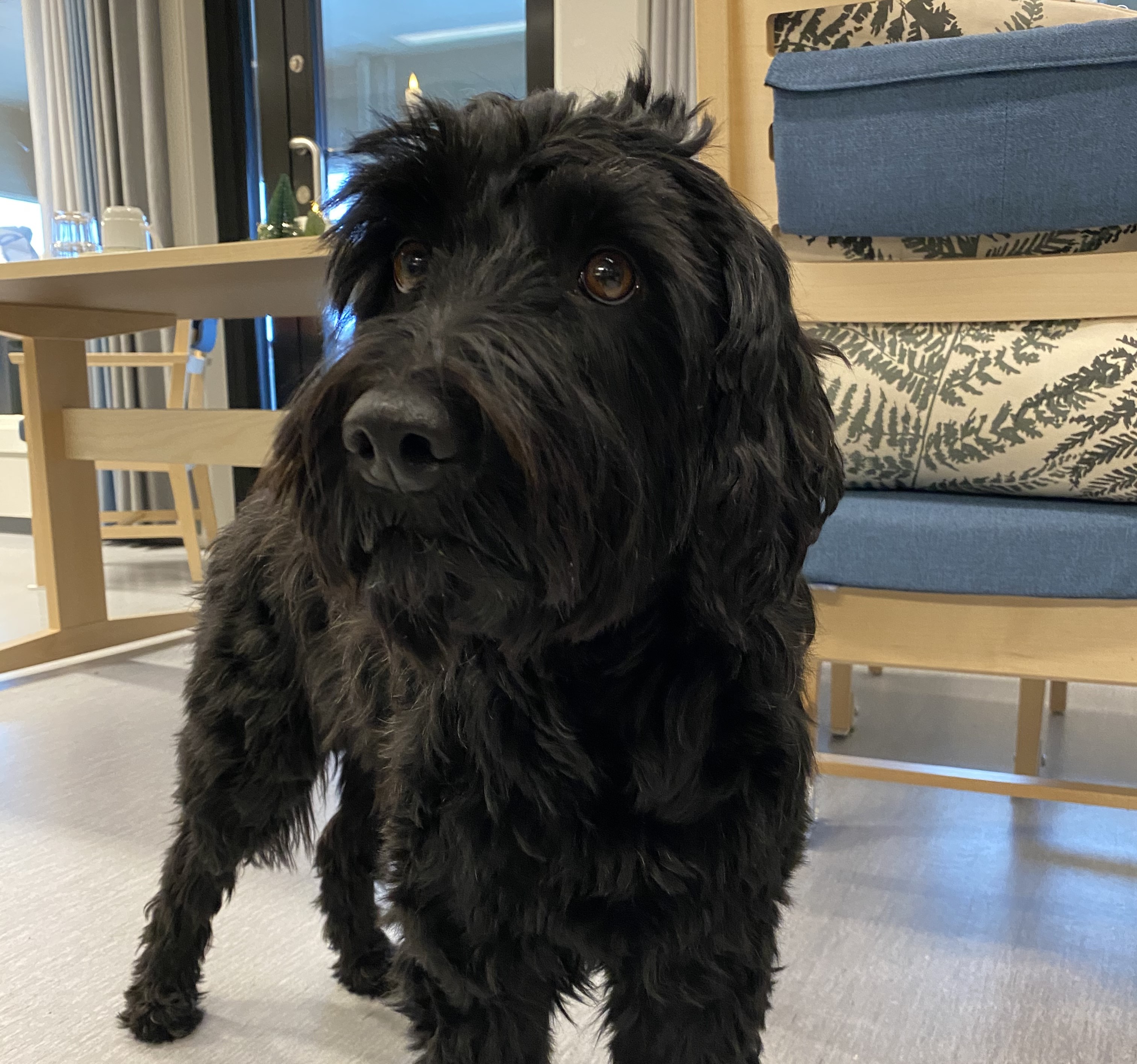 Trykk her for å se aktiviteten